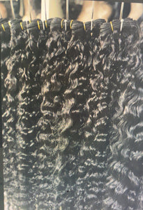 Raw Burmese Curly