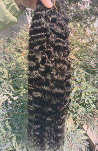 Raw Burmese Curly